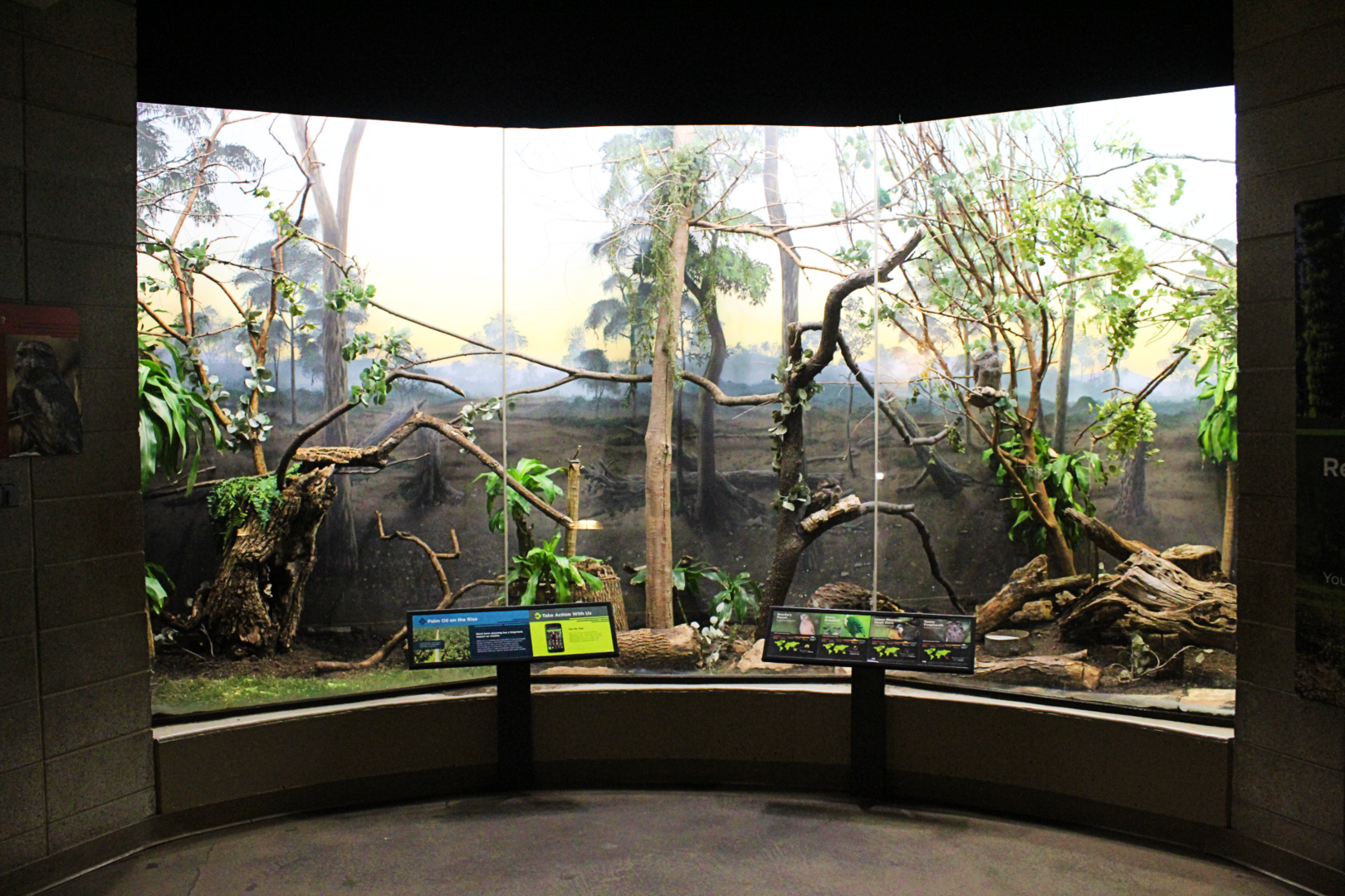 Bird House - Recovering Forest Exhibit