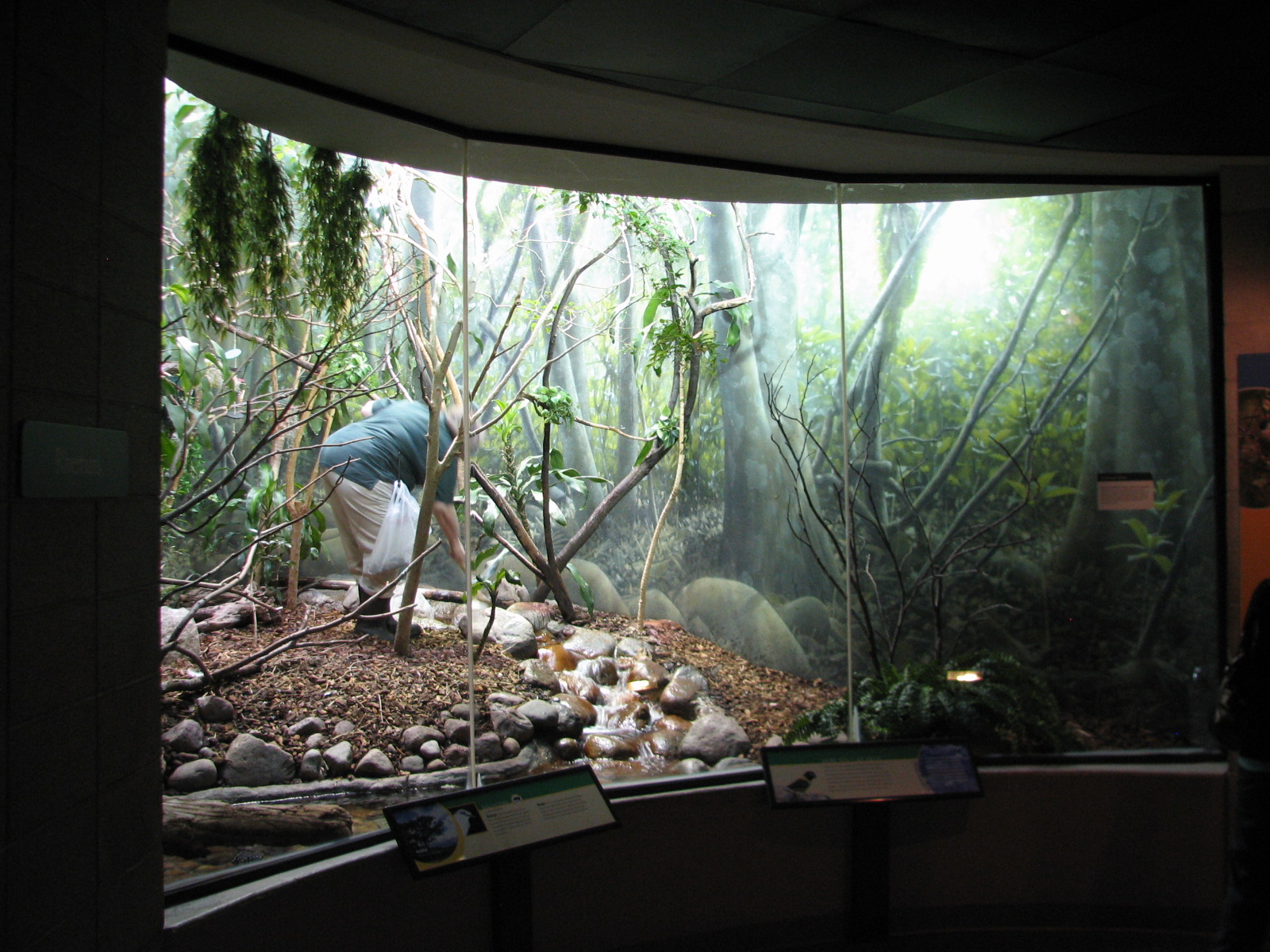 Bird House - Riverbank Exhibit