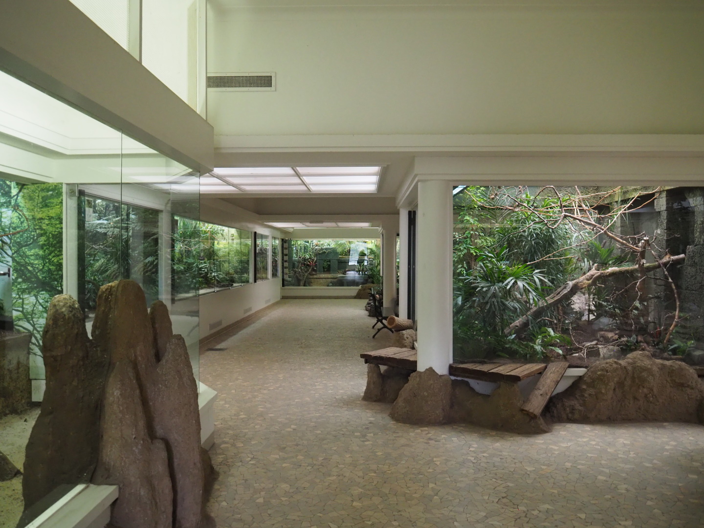 Bird house - Room with indoor aviaries, 2021-06-12