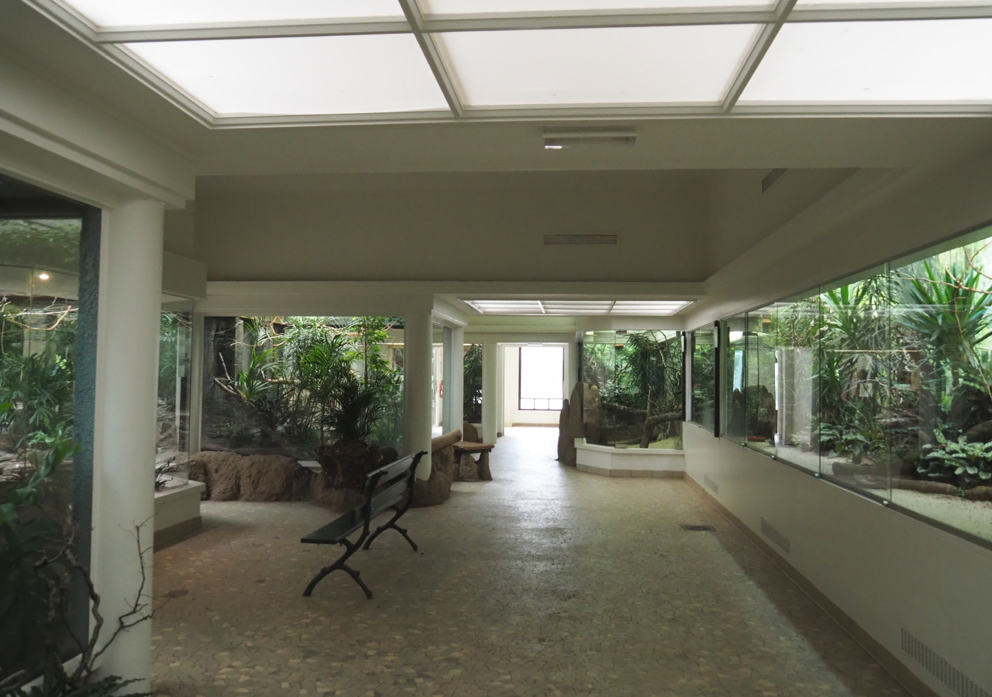 Bird house - Room with indoor aviaries, 2021-06-12