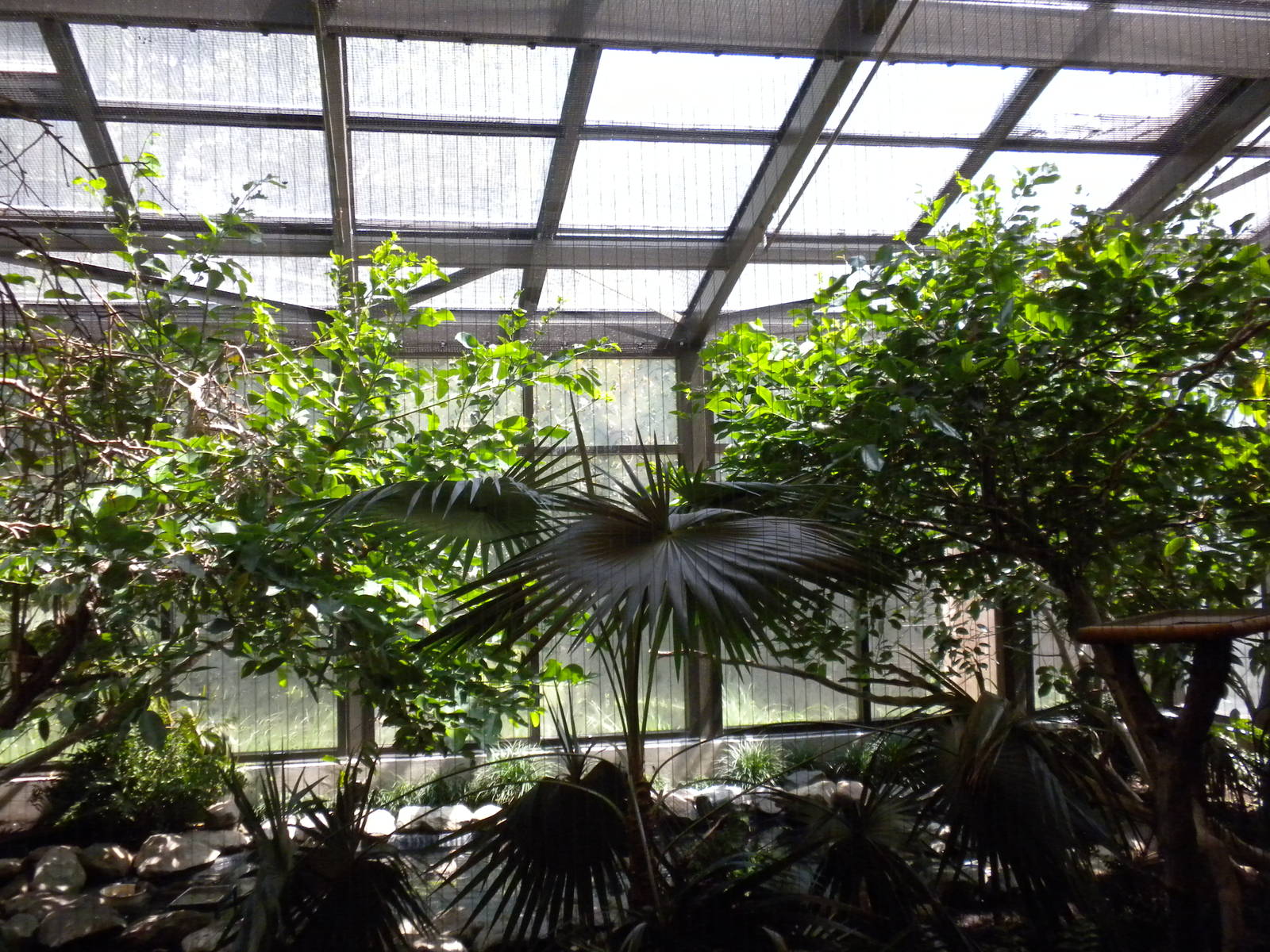 Bird House - Rosette Spoonbill and Scarlet Ibis Exhibit