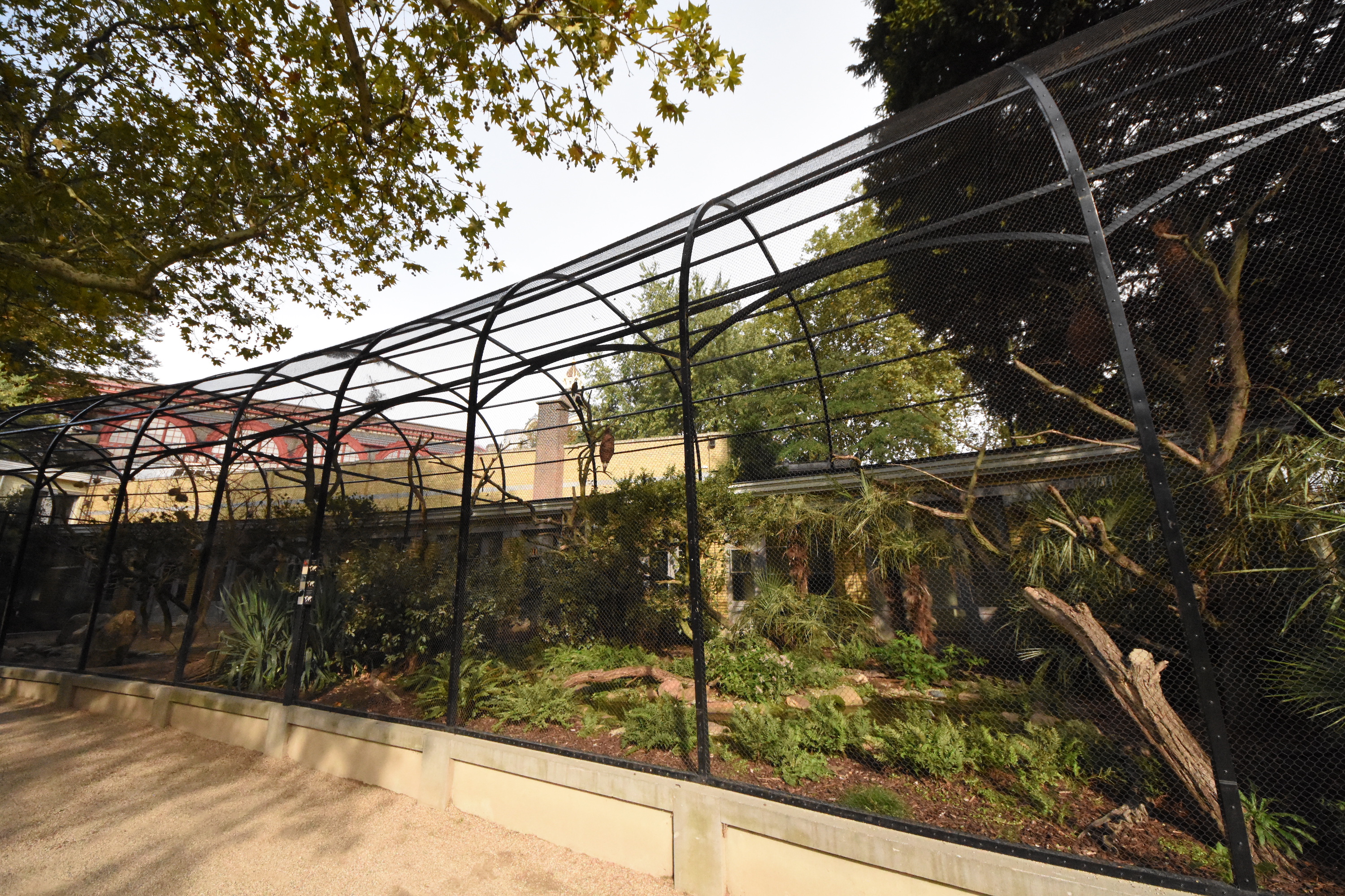 Bird house - S-American aviary