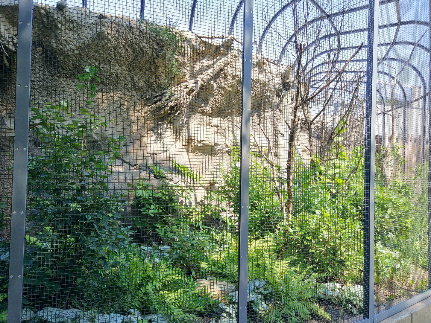 Bird House Sample Outdoor