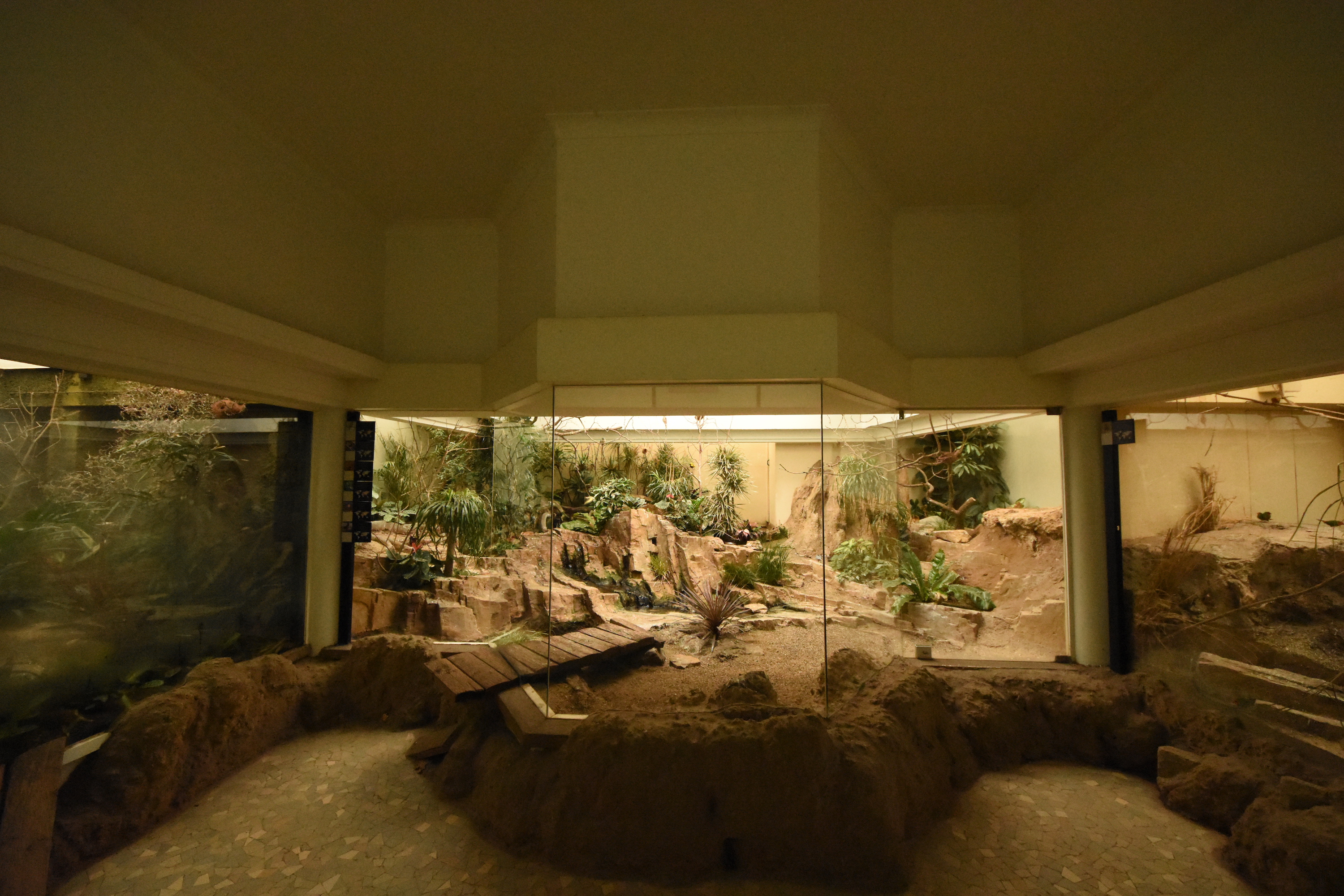 Bird house - Savanna aviary