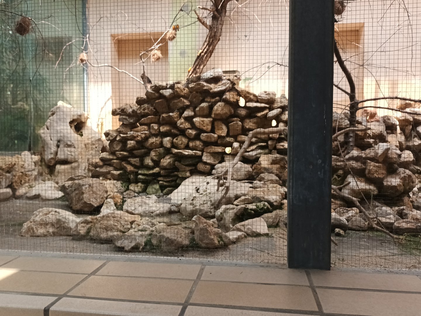 Bird House Savannah Aviary