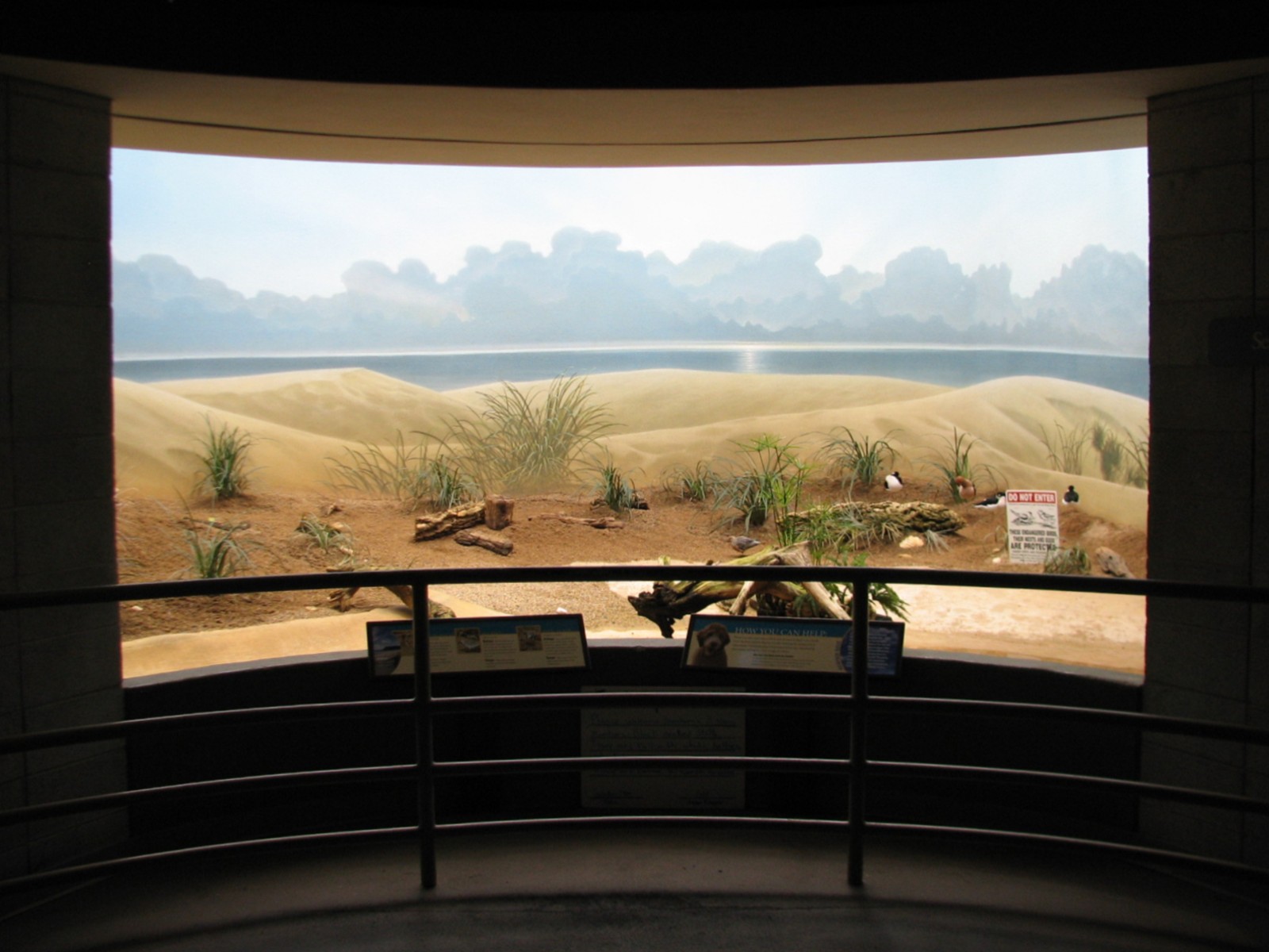 Bird House - Seashore Exhibit