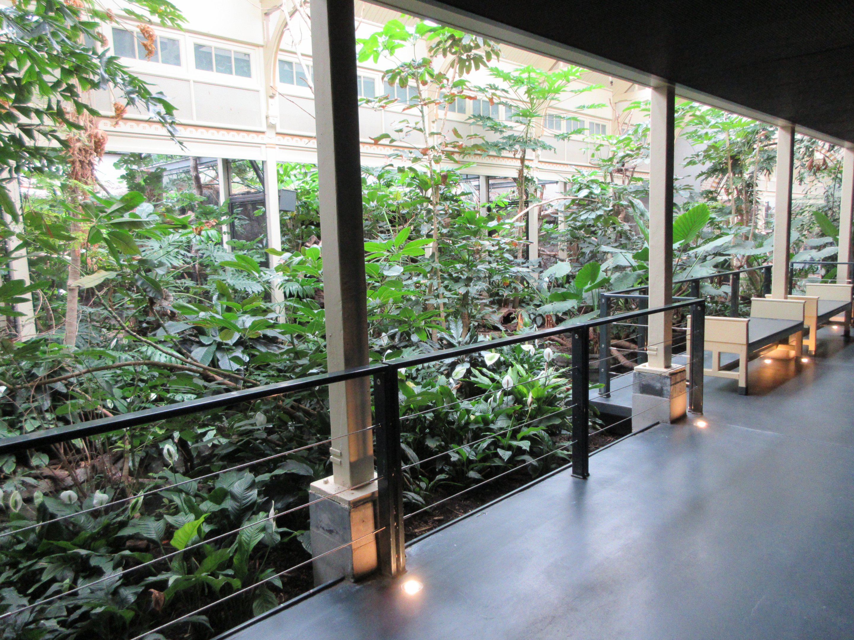 Bird House - Second Room