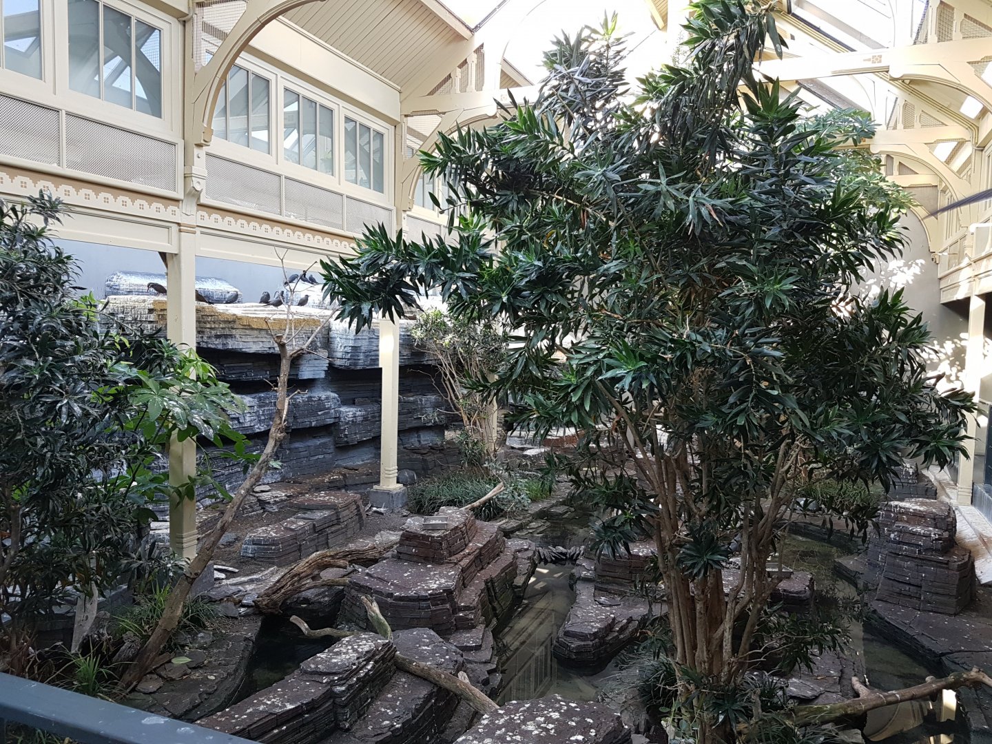 Bird-house - Shore-part