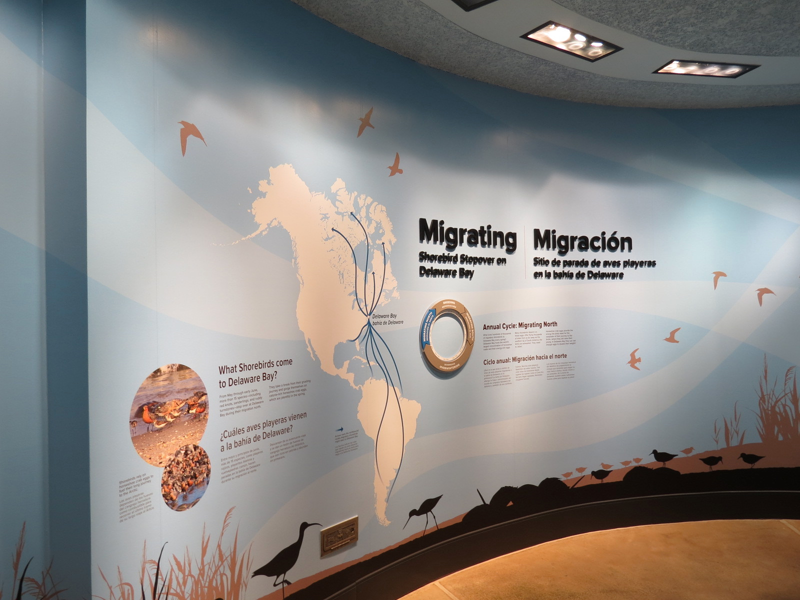 Bird House - Shorebird Aviary