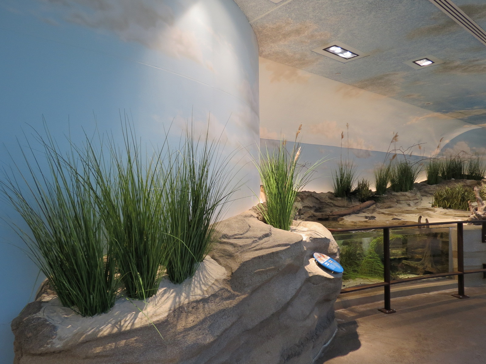 Bird House - Shorebird Aviary