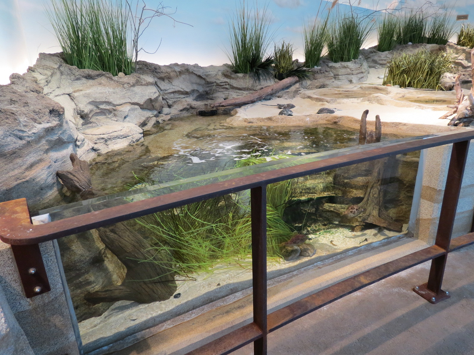 Bird House - Shorebird Aviary