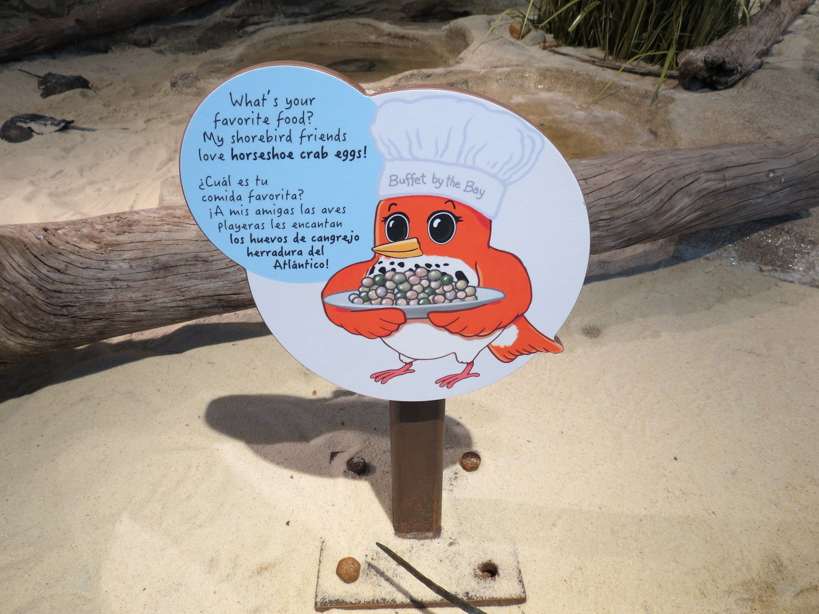 Bird House - Shorebird Aviary