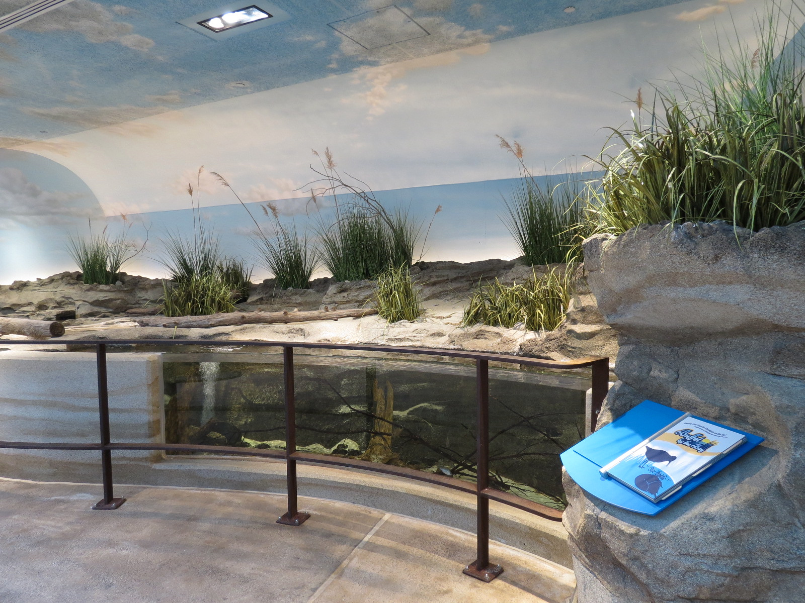 Bird House - Shorebird Aviary