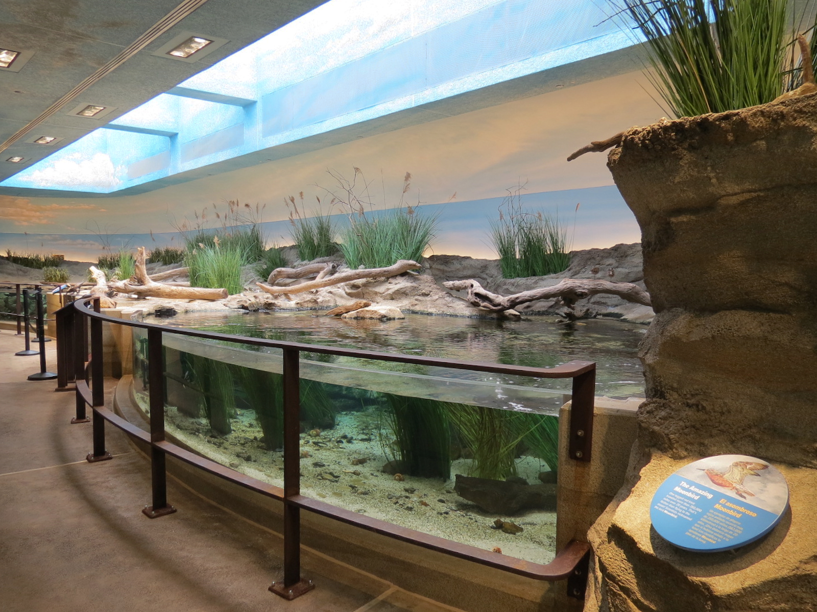 Bird House - Shorebird Aviary