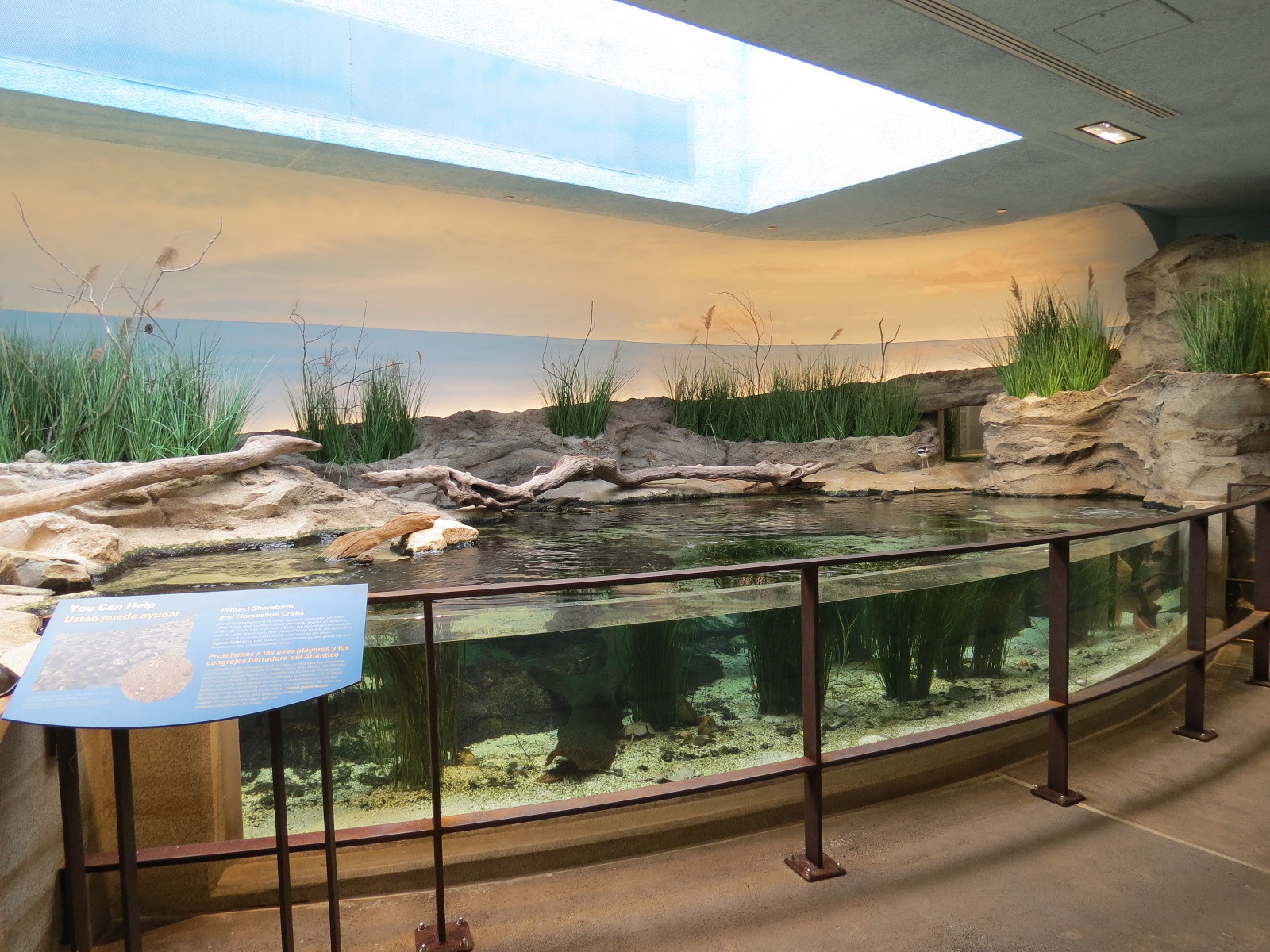 Bird House - Shorebird Aviary