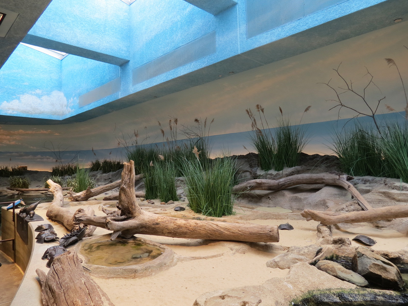 Bird House - Shorebird Aviary