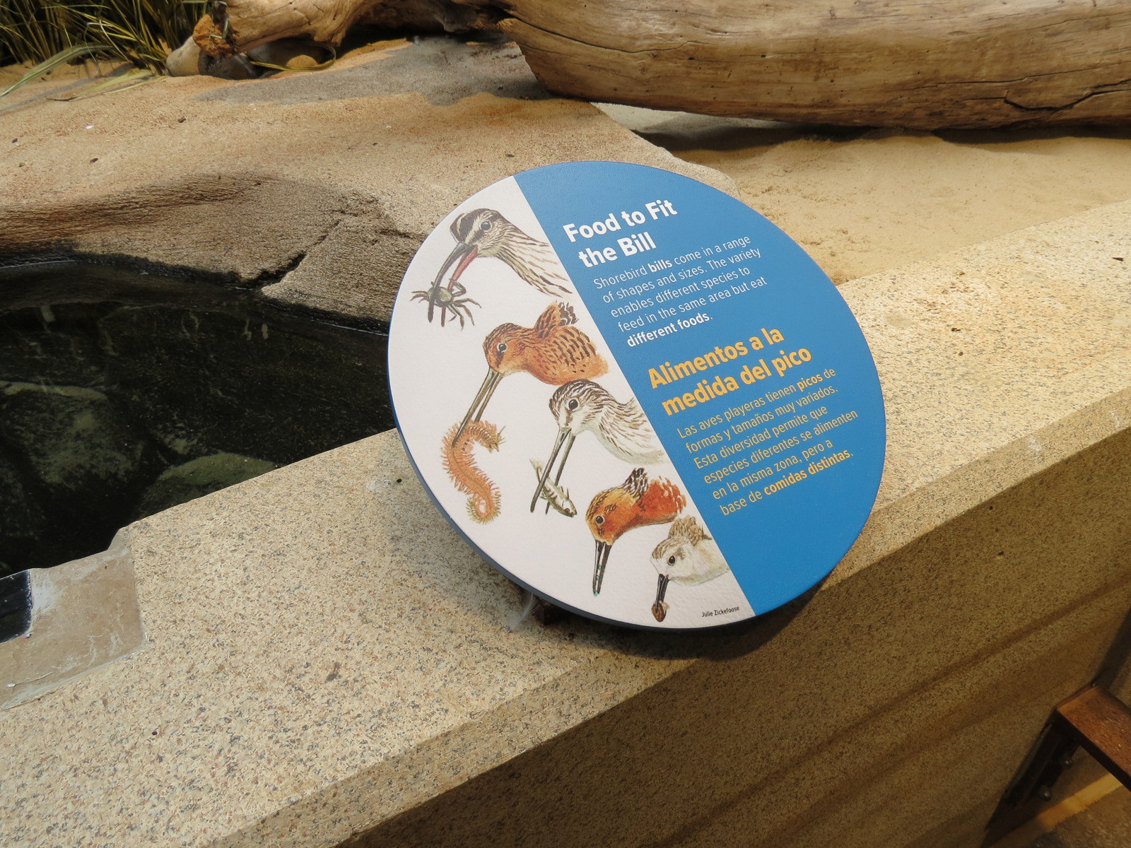 Bird House - Shorebird Aviary