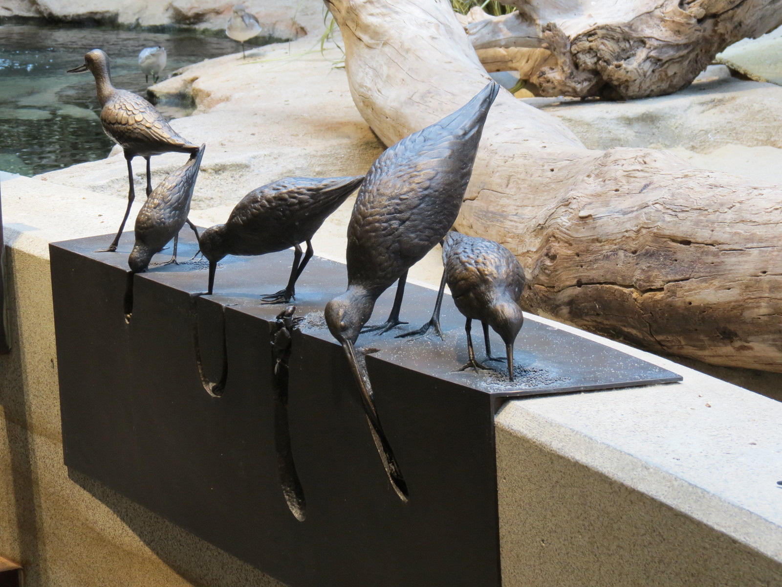 Bird House - Shorebird Aviary