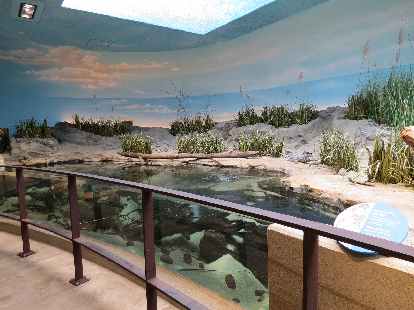 Bird House - Shorebird Aviary