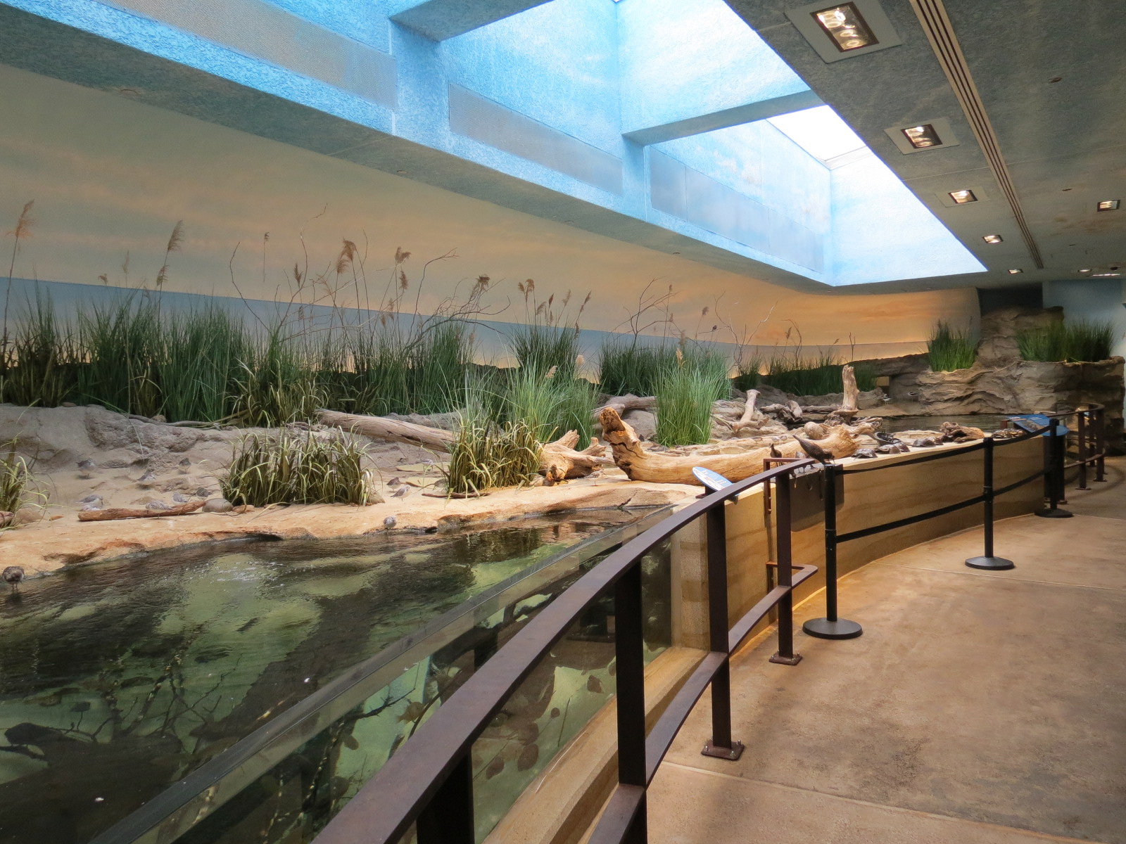 Bird House - Shorebird Aviary