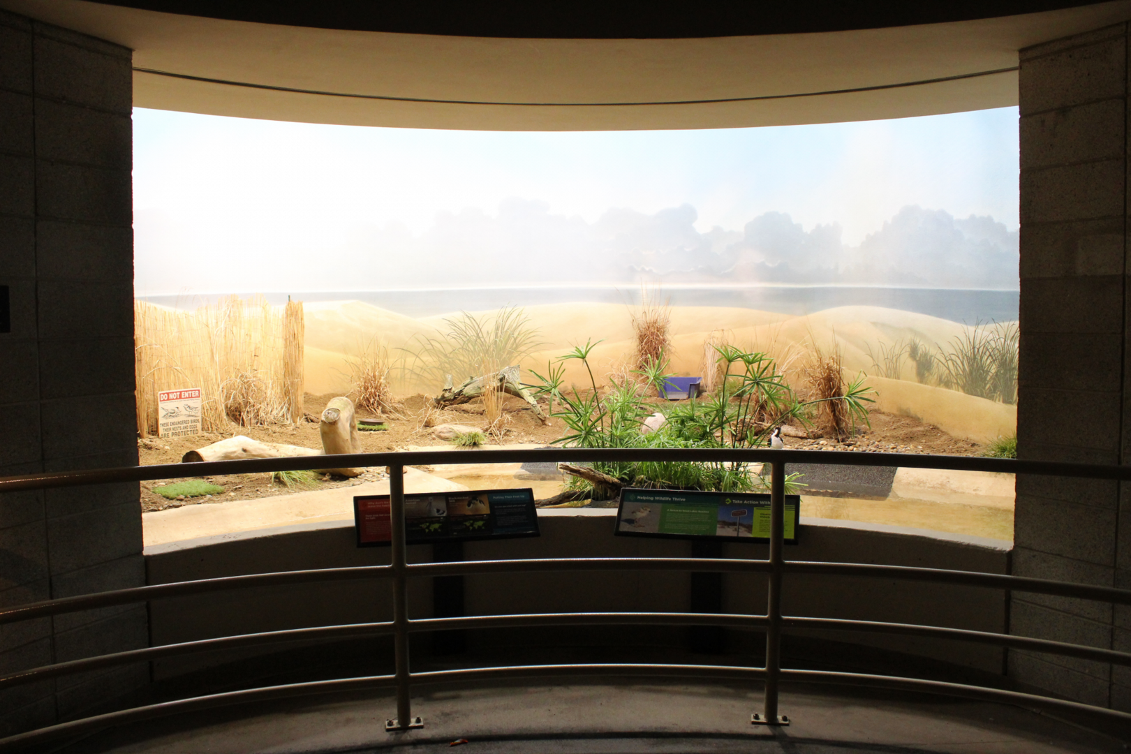 Bird House - Shoreline Exhibit