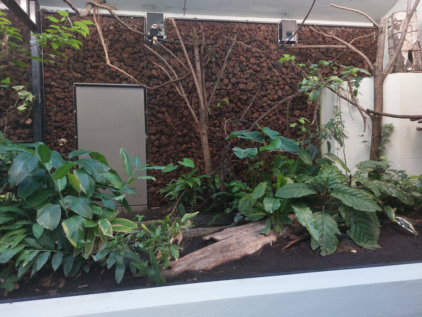 Bird house - Side aviary