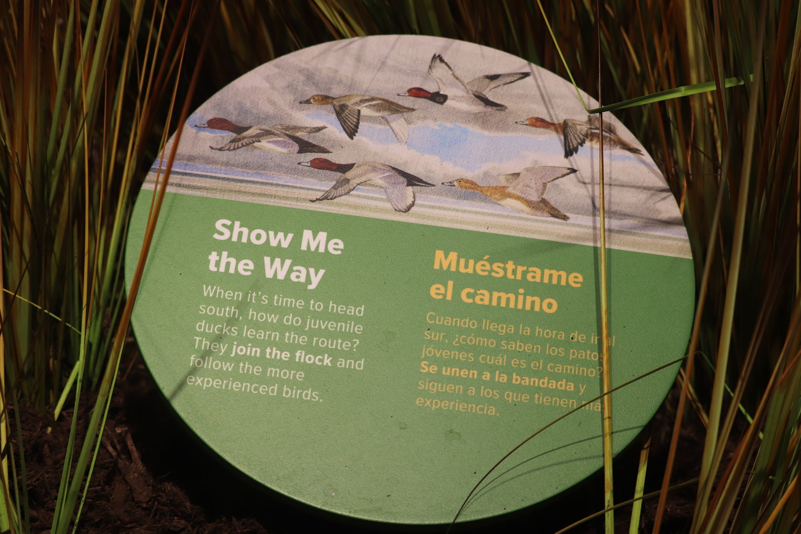 Bird House - Sign in the Prairie Pothole Aviary