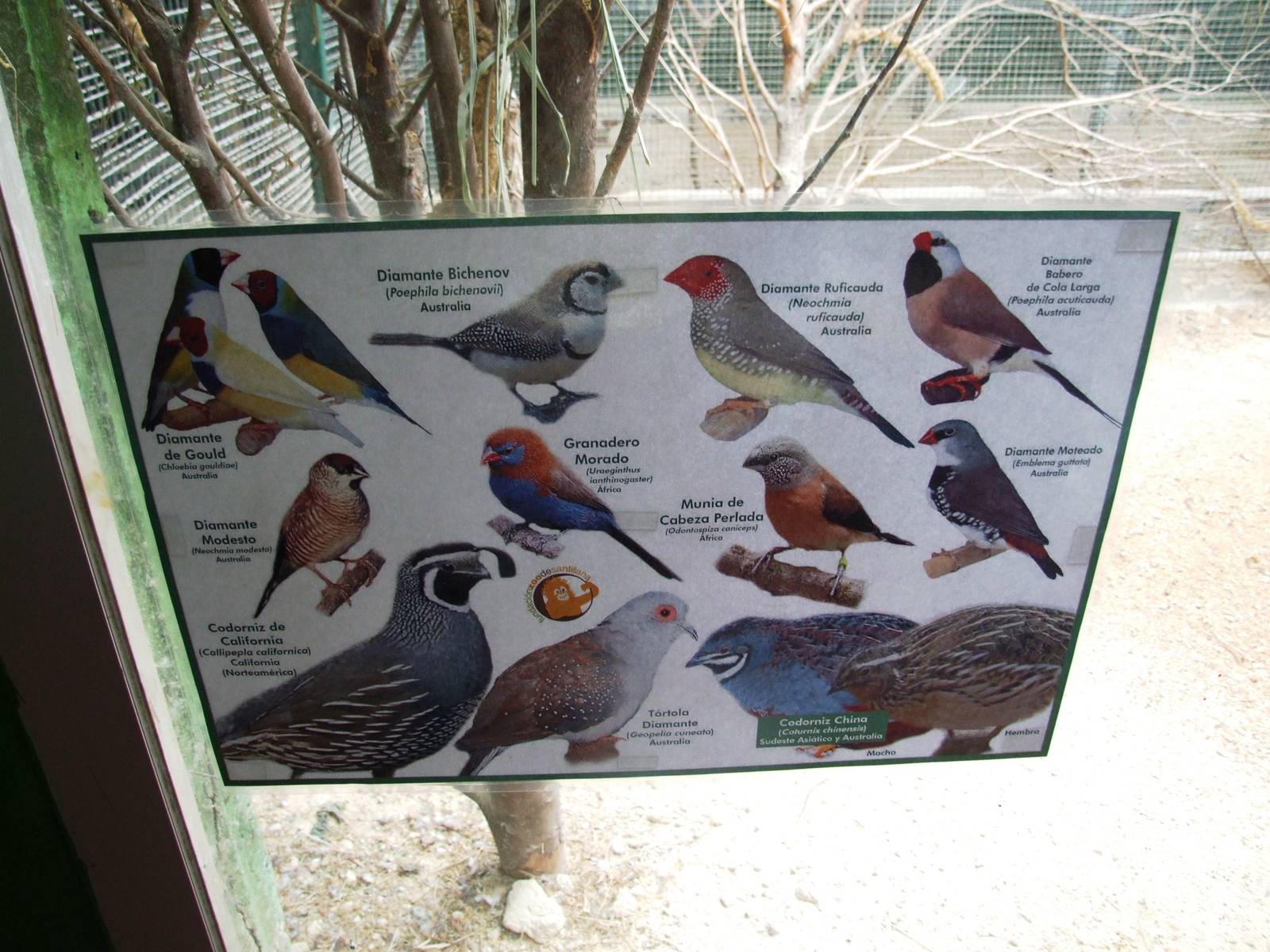 Bird House Signage at Santillana del Mar, 13/06/15