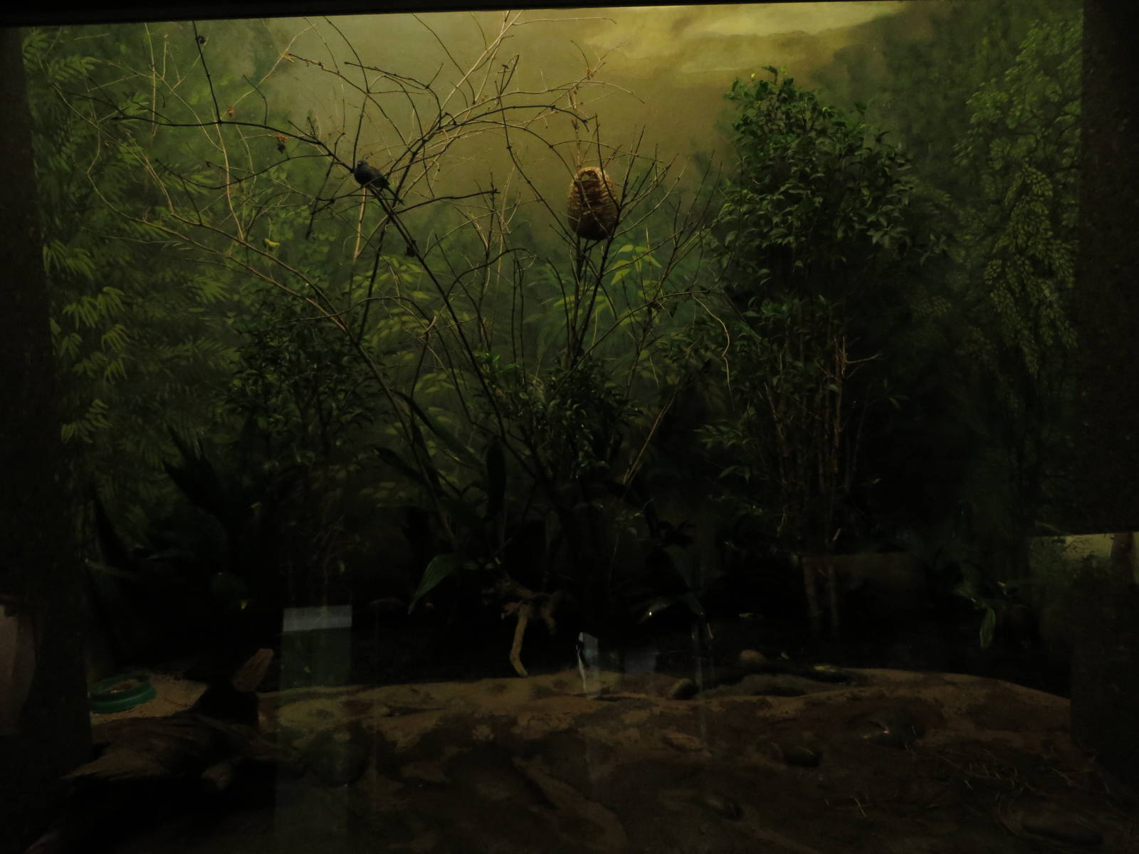 Bird house - small bird enclosure