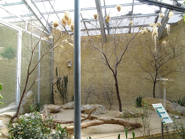 Bird house; smaller African aviary (07/22)