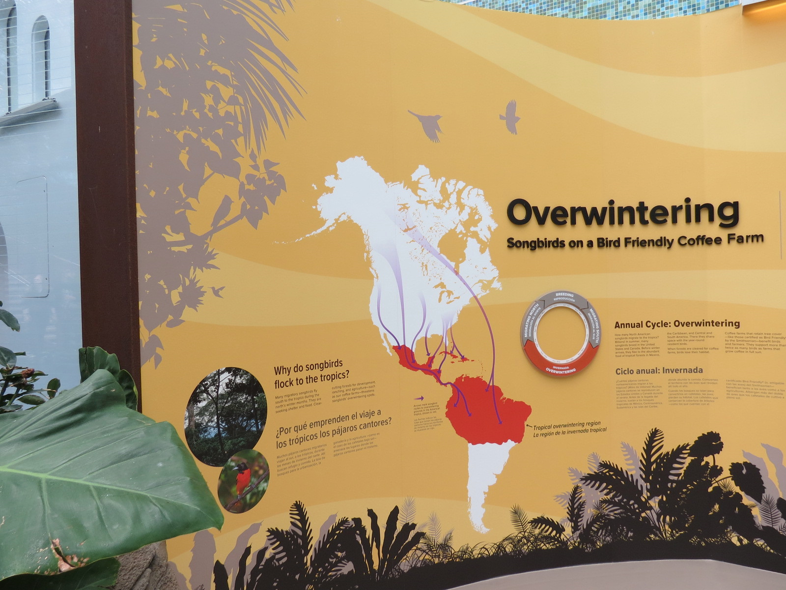 Bird House - Songbird Aviary