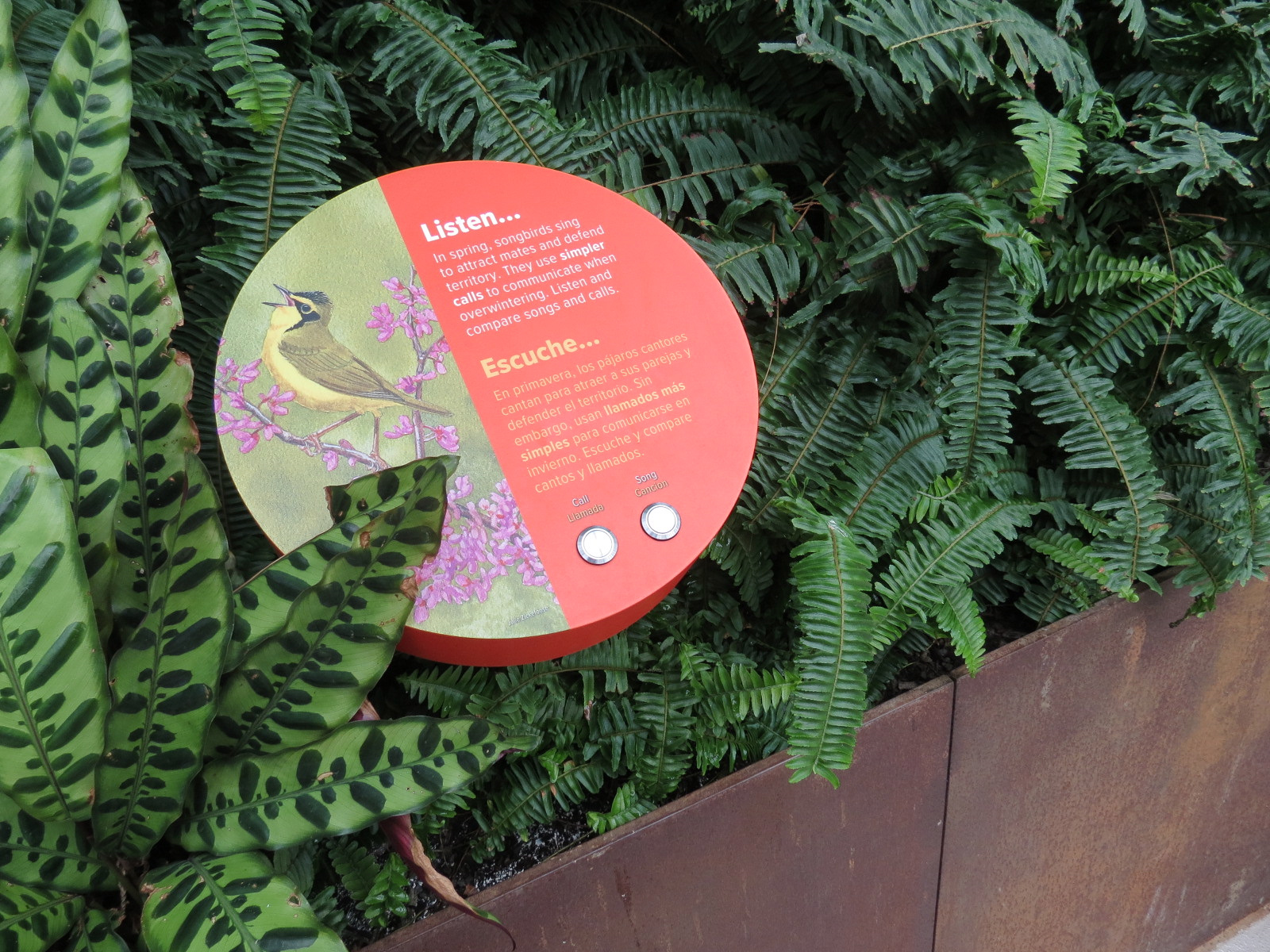 Bird House - Songbird Aviary