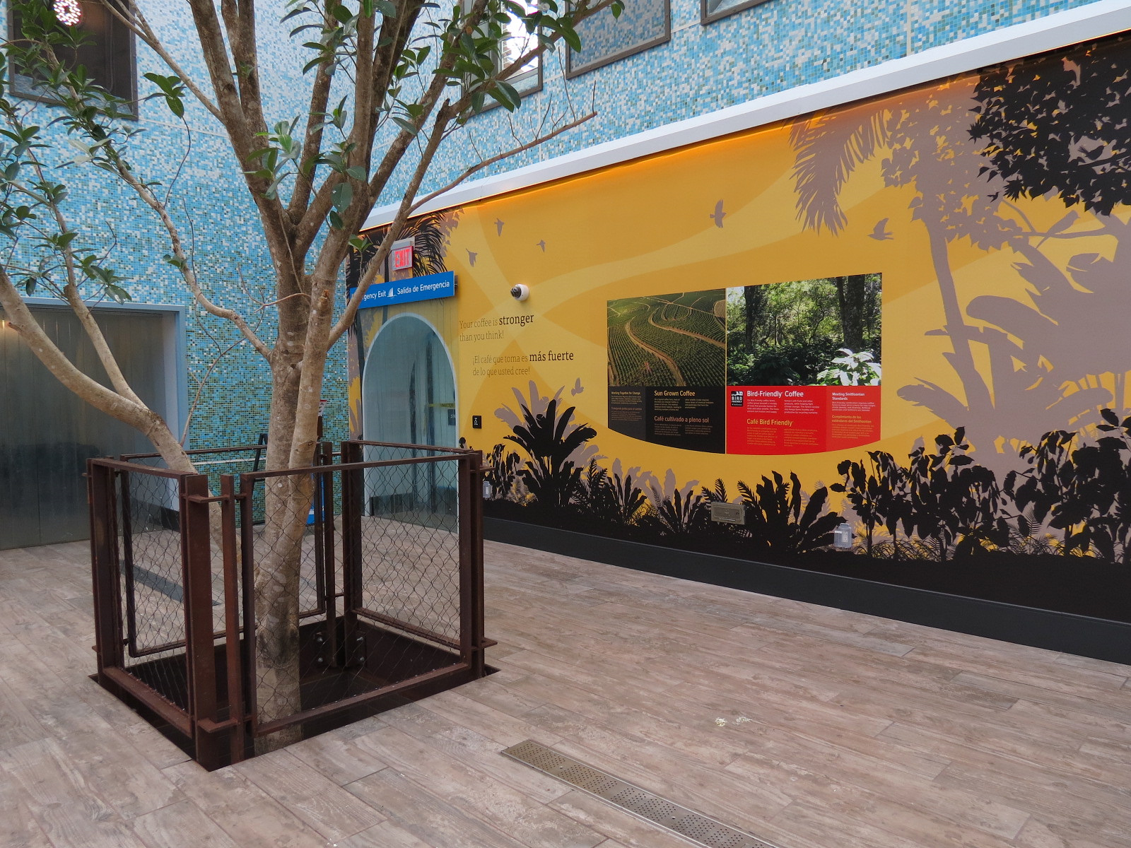 Bird House - Songbird Aviary