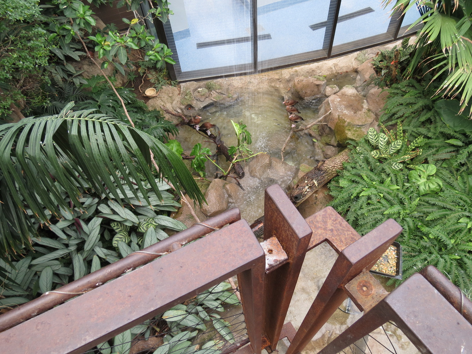 Bird House - Songbird Aviary