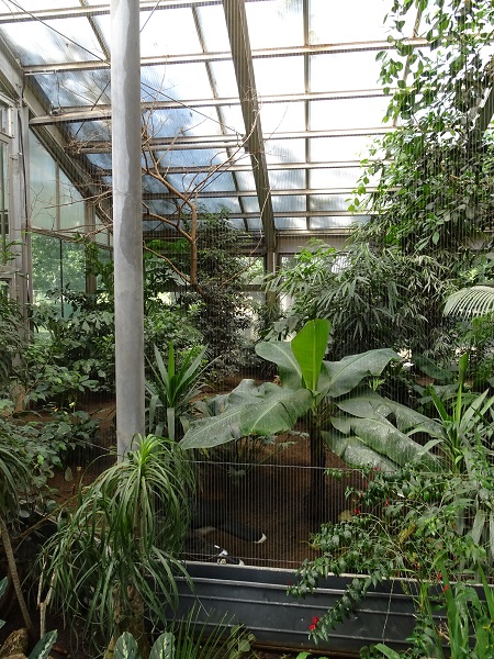 Bird House: South American aviary (07/22)