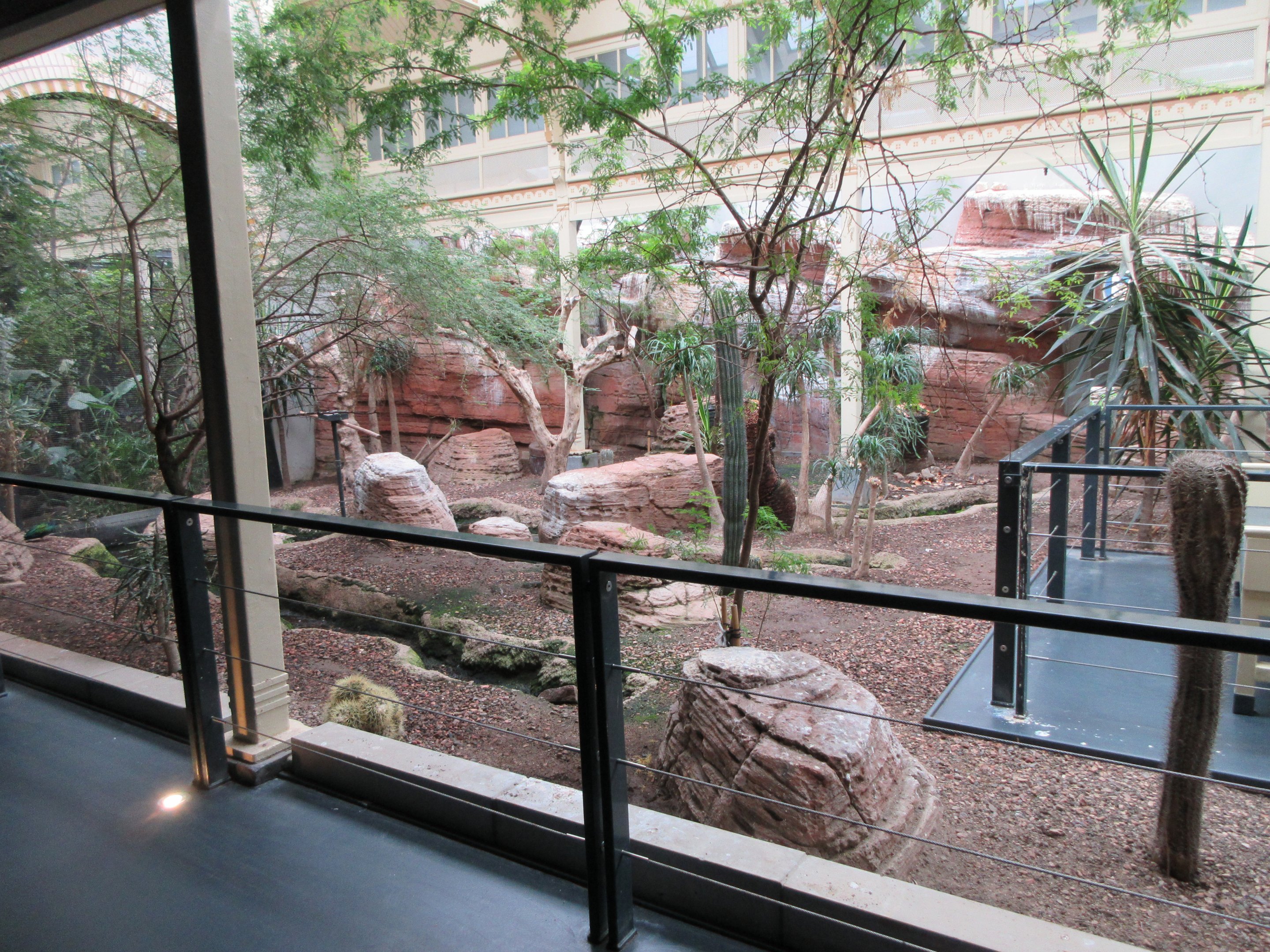 Bird House - Third Room