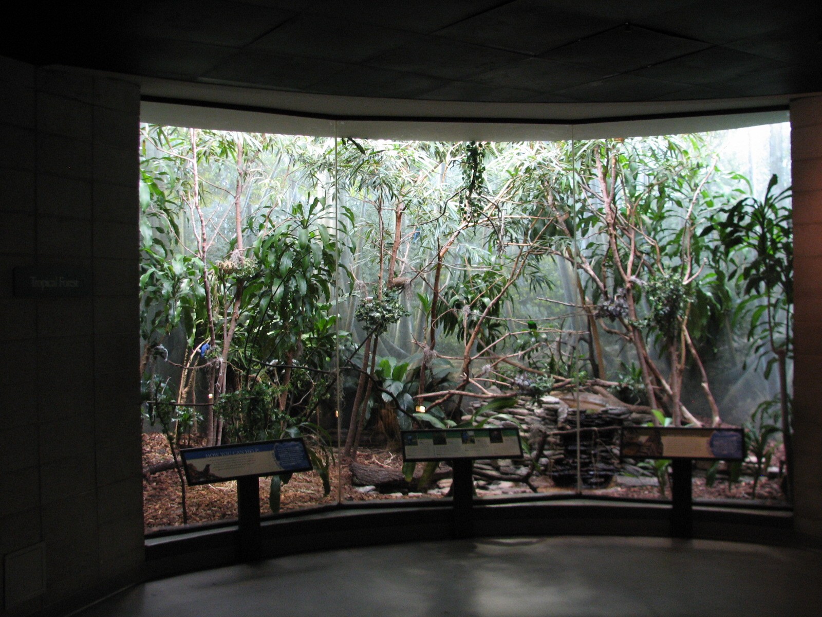 Bird House - Tropical Forest Exhibit