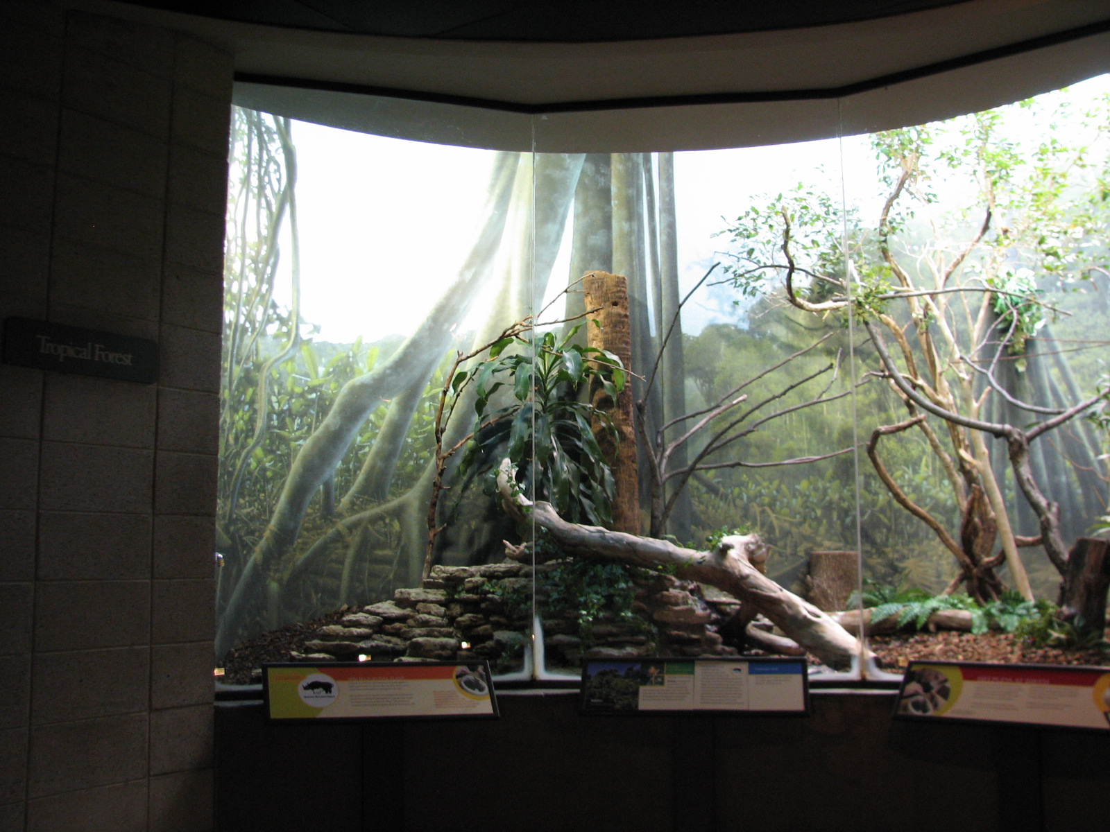 Bird House - Tropical Forest Exhibit