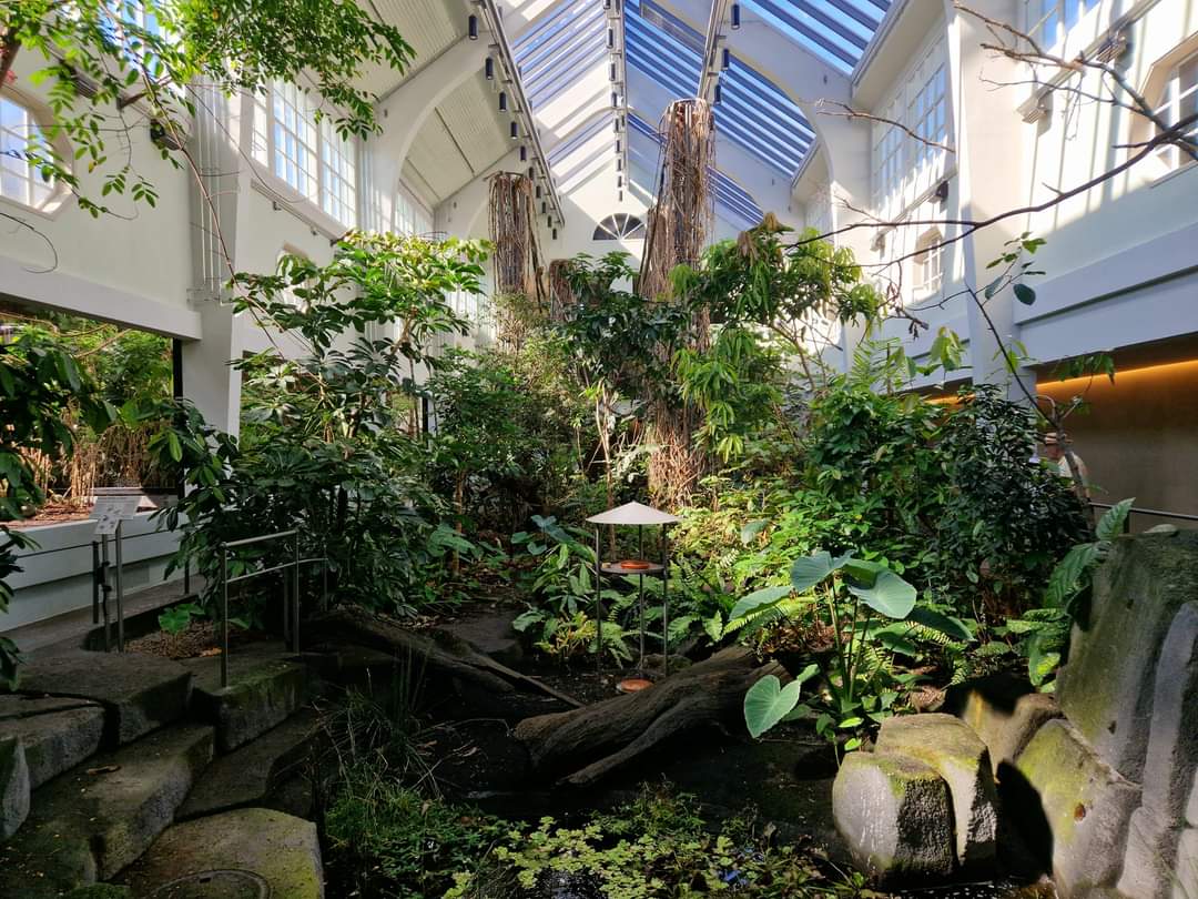 Bird house, tropical hall