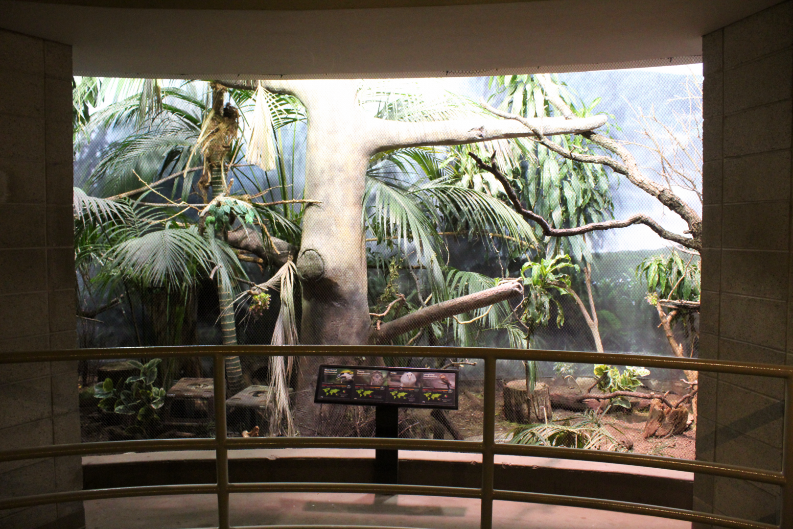 Bird House - Tropical Highland Exhibit