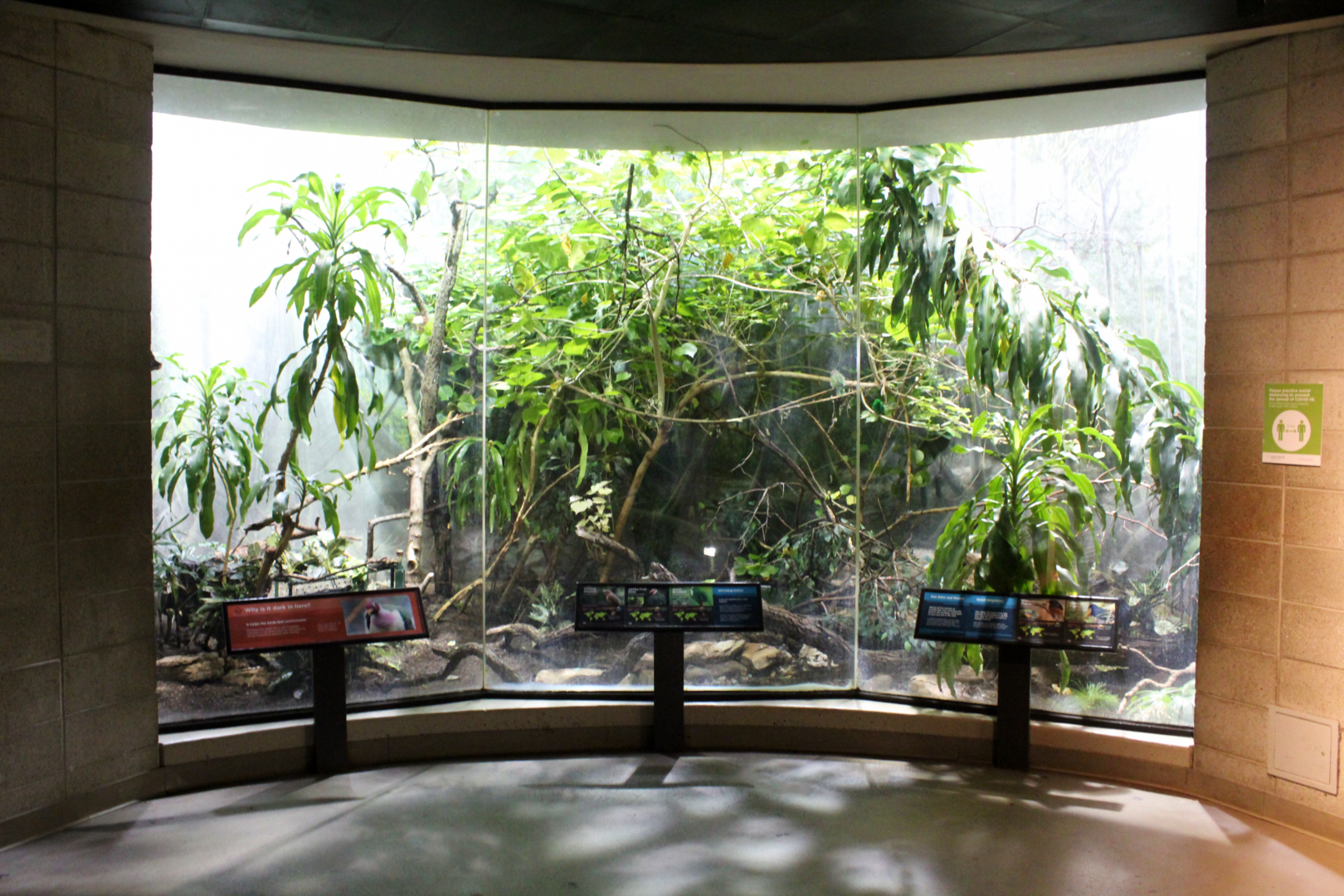 Bird House - Tropical Rainforest Exhibit