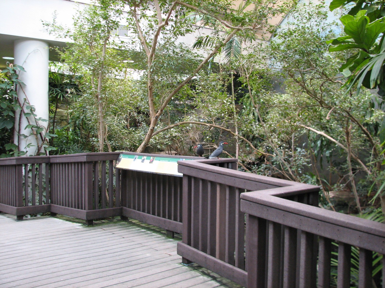Bird House - Tropical River Exhibit
