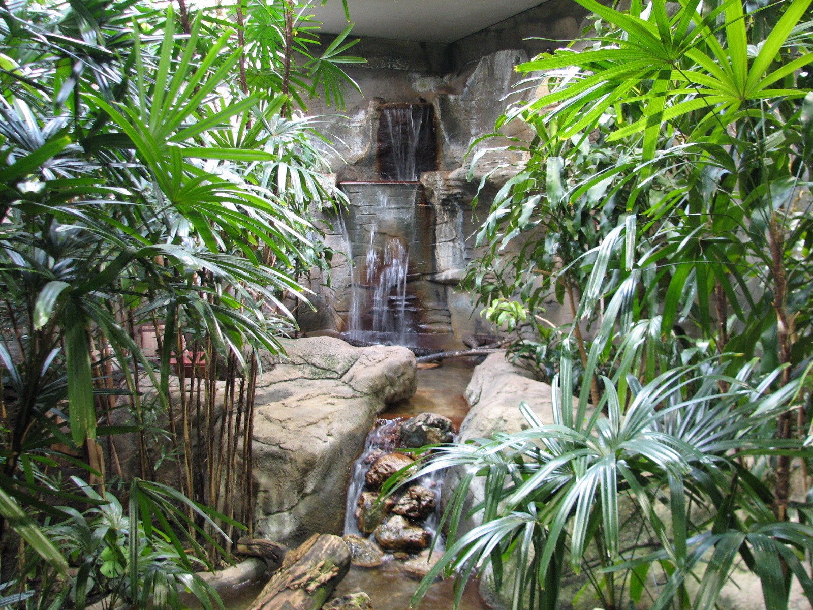 Bird House - Tropical River Exhibit