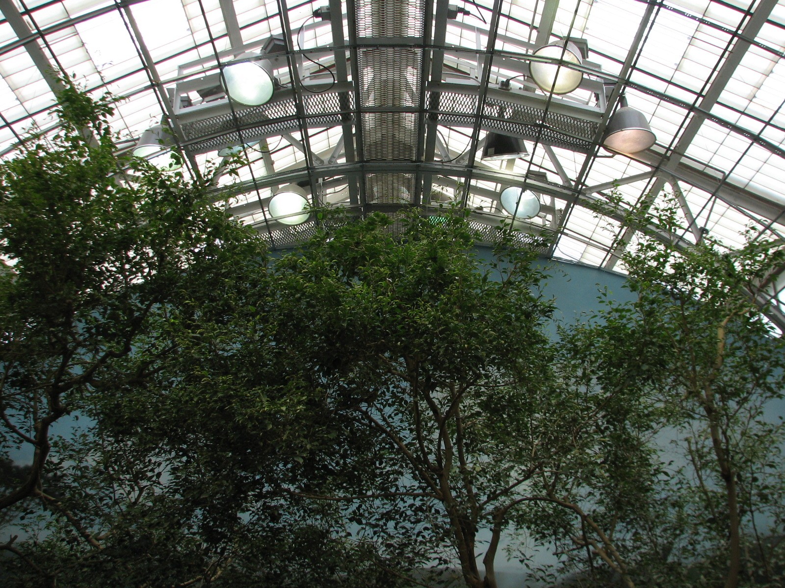 Bird House - Tropical River Exhibit
