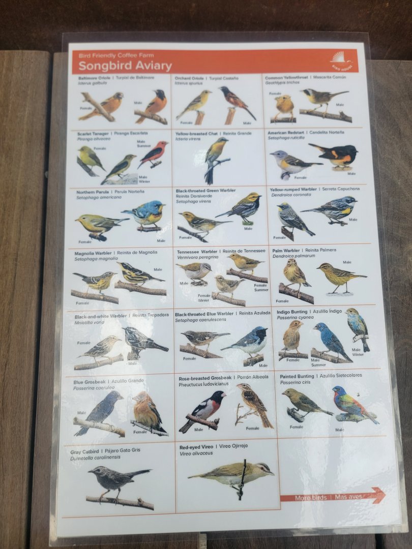 Bird House - Updated Coffee Farm Aviary Species Guide