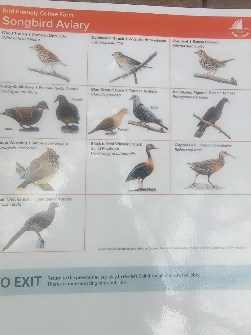 Bird House - Updated Coffee Farm Aviary Species Guide