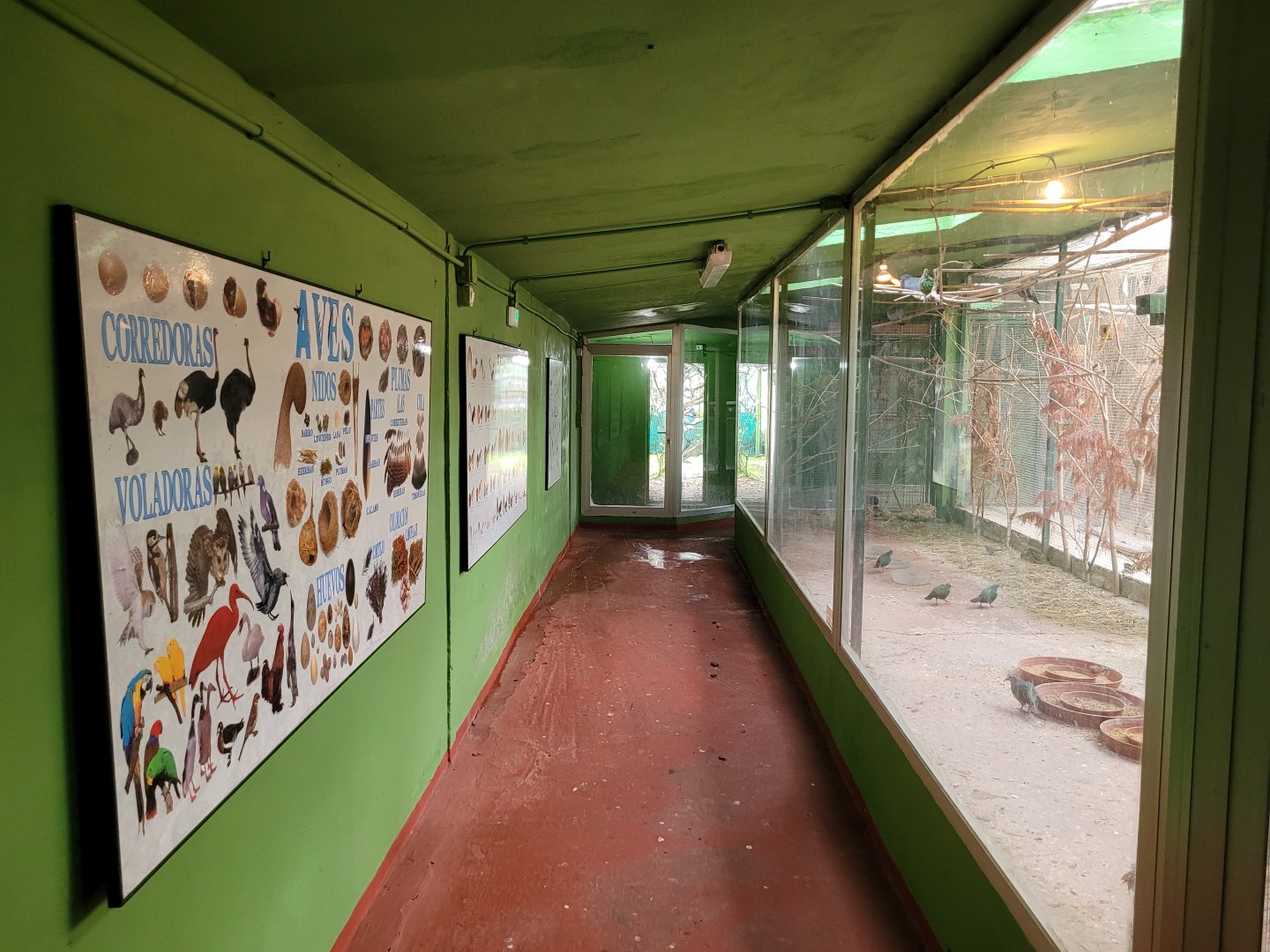 Bird House view and indoors exhibit #2 -Zoo de Santillana del Mar (2023)