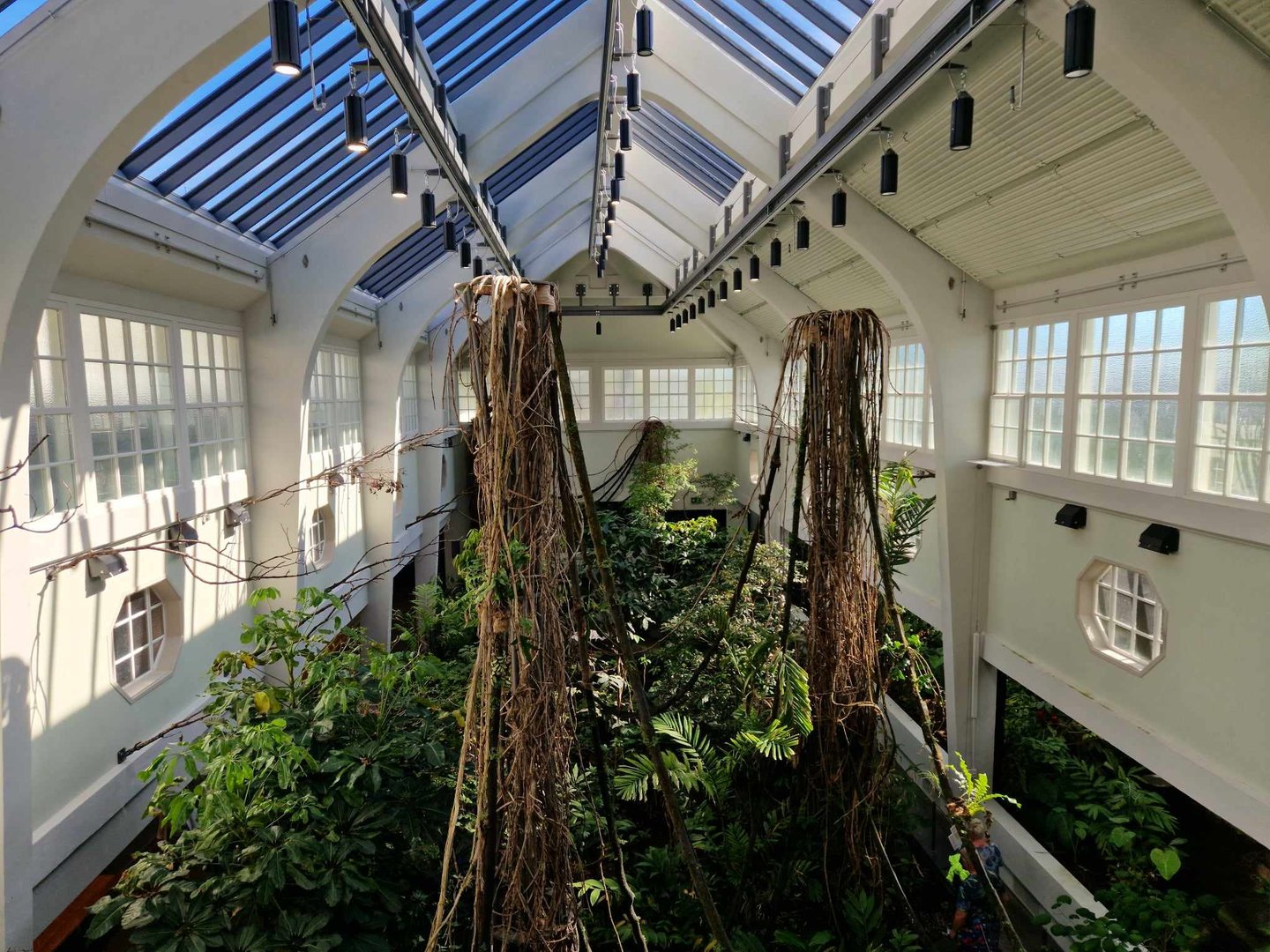 Bird house, view from the 3rd level