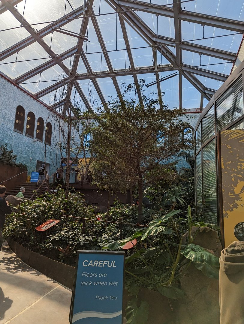 Bird House - View in the Coffee Farm Aviary