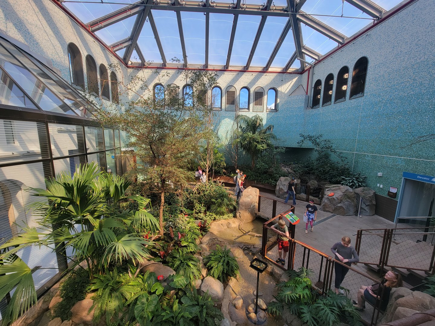 Bird House - View in the Coffee Farm Aviary